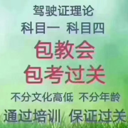 石教练