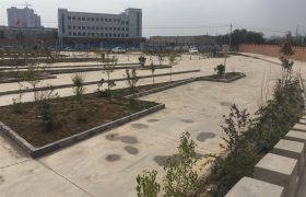 泰龙驾校