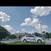 杨教练