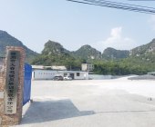 文睿駕校