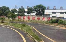 劲力驾校